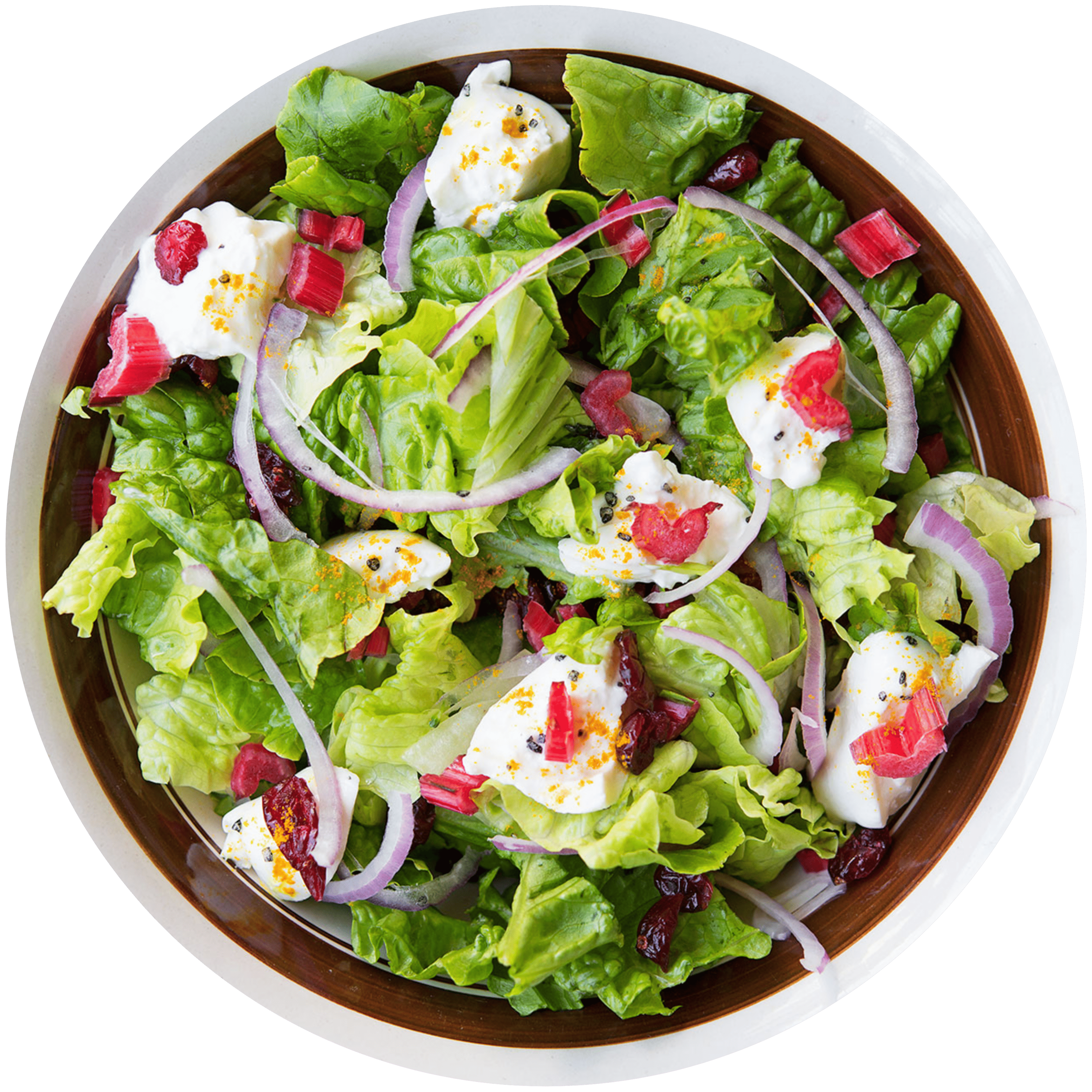 Fresh Garden Salad